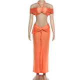 Halterneck Hollow Out Maxi Dress GZJQ-K6S01877A