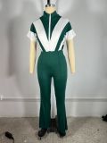 Lapel Zipper Patchwork Flare Jumpsuit TE-4737