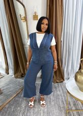 Plus Size Casual V Neck Loose Denim Sleeveless Jumpsuit GYLN-0619