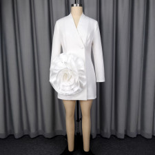 V Neck Long Sleeve Mini Dress GKEN-ADR051144