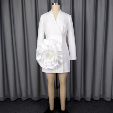 V Neck Long Sleeve Mini Dress GKEN-ADR051144