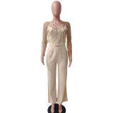 Mesh Embroidery See Through Wide Leg Jumpsuit LA-6005