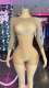 Pre Order: About 7 work days shipping Mesh See Thourgh Romper YUEM-303019