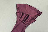 V Neck Long Sleeve Color Block Maxi Dress GJYO-303969
