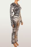 Animal Print Hoodie Color Block Two Piece Pants Set  YWXS-K26L2182
