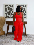 Solid Color Sleeveless Casual Two Piece Pants Set SFY-839