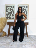 Solid Color Sleeveless Casual Two Piece Pants Set SFY-839