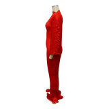 Lantern Sleeve Press Pleated Maxi Dress YF-10977