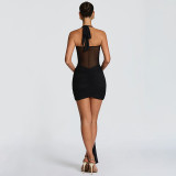 Mesh Halterneck Ruched Mini Dress GSZM-D26DS054