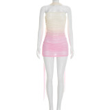 Graduated Print Mesh Tight Tube Top Dress GSZM-D26DS047