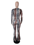 Snake Print Long Sleeve Two Piece Pants Set SHD-9972