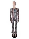 Snake Print Long Sleeve Two Piece Pants Set SHD-9972