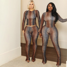 Snake Print Long Sleeve Two Piece Pants Set SHD-9972