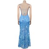 Sexy Sling Backless Mesh Maxi Dress BY-7672