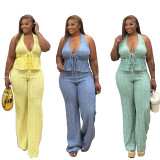 Sleeveless Halterneck Backless Two Piece Pants Set TR-1364