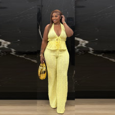 Sleeveless Halterneck Backless Two Piece Pants Set TR-1364
