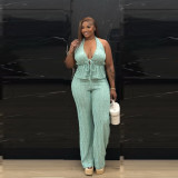 Sleeveless Halterneck Backless Two Piece Pants Set TR-1364