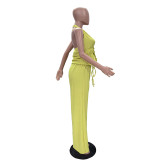 Sleeveless Halterneck Backless Two Piece Pants Set TR-1364