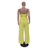 Sleeveless Halterneck Backless Two Piece Pants Set TR-1364