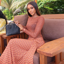 Print Long Sleeve Ruched Maxi Dress GJYO-JD305071