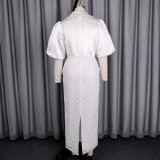 Plus Size Lace Patchwork Mesh Puff Sleeve Long Dress GKEN-ADR060241