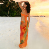 Print Halterneck Tube Top Split Ruffles Long Skirt 2 Piece Set XEF-K6S04214A