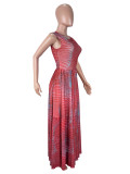 Print Sleeveless Bodysuit  Long Skirts 2 Piece Set SHD-9966