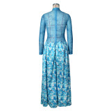 Mesh Print Long Sleeve Maxi Dress ZSD-0777