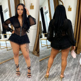 V Neck See Through Mesh Mini Dress BY-7685