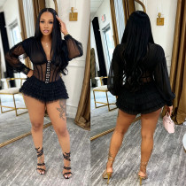 V Neck See Through Mesh Mini Dress BY-7685