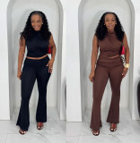 Sleeveless Solid Color Tight Two Piece Pants Set NY-3890
