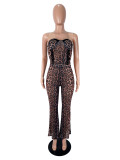Sexy Leopard Print Tube Top Two Piece Pants Set SHD-9976