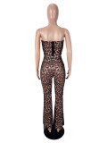 Sexy Leopard Print Tube Top Two Piece Pants Set SHD-9976