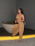 Halterneck Solid Color Zipper Jumpsuit(Without Belt) TE-4755