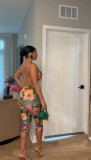 Print Backless Sling Tops Two Piece Pants Set TE-4757