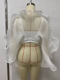 Ruffles See Through Press Pleated Top LSD-2813