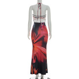 Print Backless Halterneck Maxi Dress GDSF-D26DS089