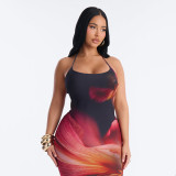 Print Backless Halterneck Maxi Dress GDSF-D26DS089