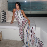 Halterneck Print Backless Maxi Dress DLSF-K6D06807A