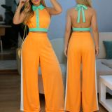 Contrast Color Patchwork Backless Two Piece Pants Set HNIF-ZM025