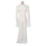 Lace V Neck Long Sleeve Maxi Dress AIL-348