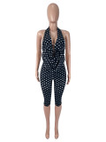 Polka Dots Print Halterneck Two Piece Pants Set SHD-9981
