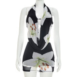 Print Backless Tie Up Mesh Two Piece Skirts Set GSZM-D26ST166