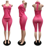 Halterneck Polka Dots Print 2 Piece Set CM-60515