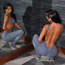 Polka Dots Print Wrap Chest Top Pants Suit SHMF-6208