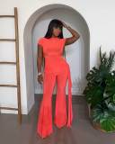 Sleeveless Ruched Tops Flare Pant 2 Piece Set YD-8862