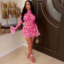 Mesh Print Long Sleeve Mini Dress YD-1175