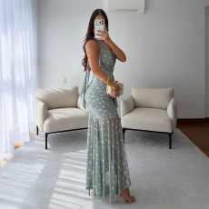 Halterneck Print Sleeveless Maxi Dress CYA-902383