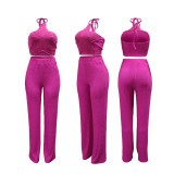Solid Color Halterneck Two Piece Pants Set CYA-902385