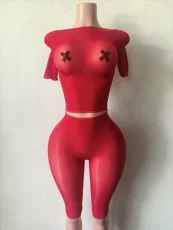 Pre Order: About 7 work days shipping Short Sleeve See Through 2 Piece Set YUEM-202641